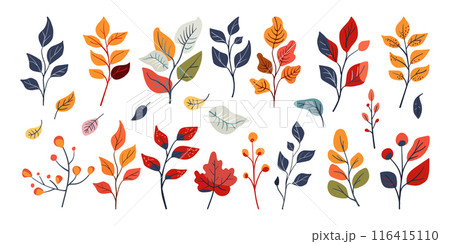 Set of folk autumn leaves and branches. Hand drawn. Flat vector illustration. Isolated cartoon 116415110