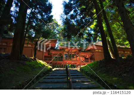 初夏の比叡山延暦寺 116415120