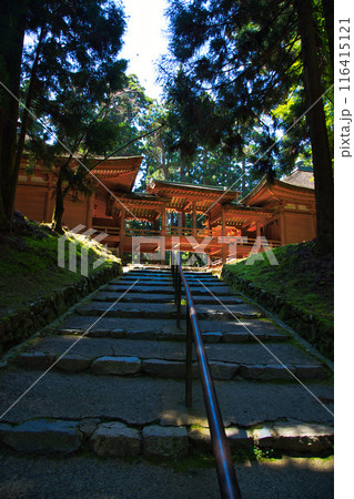 初夏の比叡山延暦寺 初夏の比叡山延暦寺 116415121