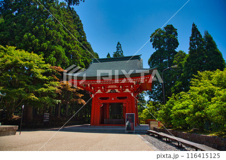 初夏の比叡山延暦寺 116415125