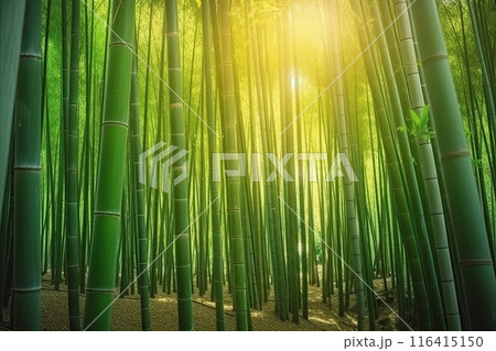 A tranquil bamboo forest with sunlight filtering through tall trees, creating a peaceful atmosphere 116415150