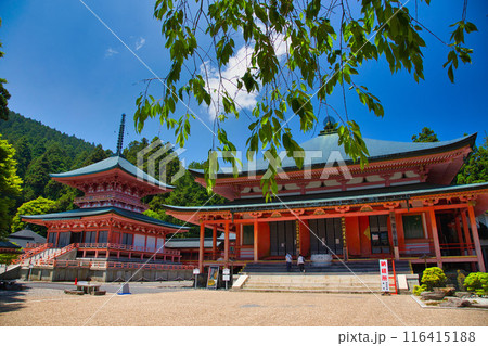 初夏の比叡山延暦寺 初夏の比叡山延暦寺 116415188