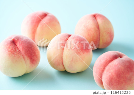 山梨県産白鵬 116415226