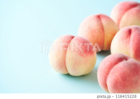山梨県産白鵬 山梨県産白鵬 116415228