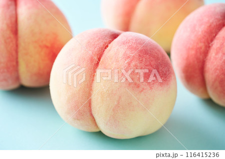 山梨県産白鵬 116415236