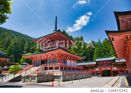 初夏の比叡山延暦寺 初夏の比叡山延暦寺 116415242