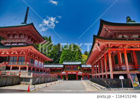 初夏の比叡山延暦寺 初夏の比叡山延暦寺 116415246