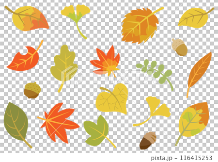 A set of autumn-like leaves and acorns 116415253
