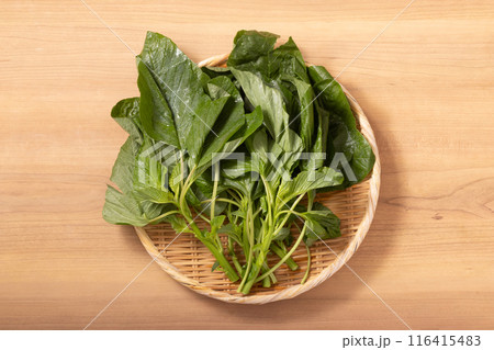 アマランサス 116415483