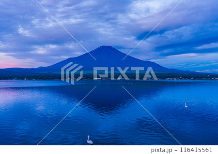 (山梨県)山中湖・湖畔から望む富士山 夜明け (山梨県)山中湖・湖畔から望む富士山 夜明け 116415561