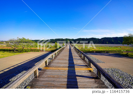 静岡県島田市　日本一長い木造歩道橋　蓬莱橋 116415736