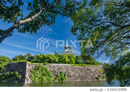 大阪城風景 大阪城風景 116415990