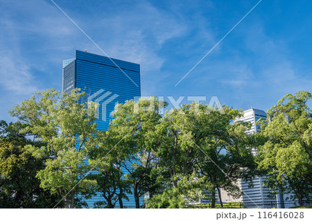 大阪ビジネスパーク　クリスタルタワー　大阪城内からの風景 116416028