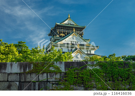 大阪城天守閣 116416036