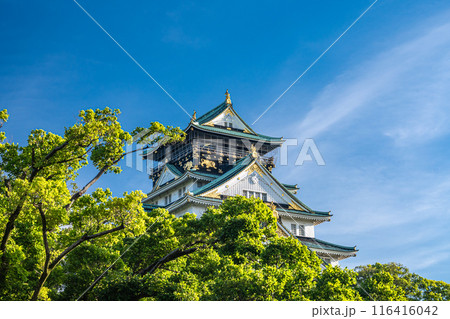 大阪城天守閣 大阪城天守閣 116416042