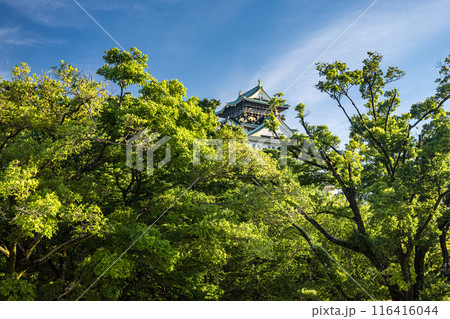 大阪城風景 大阪城風景 116416044