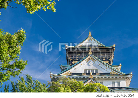 大阪城天守閣 大阪城天守閣 116416054