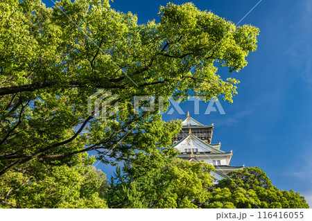 大阪城風景 大阪城風景 116416055