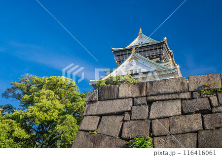 大阪城天守閣 116416061