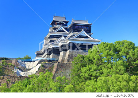 【熊本県】快晴の熊本城(大天守と小天守) 【熊本県】快晴の熊本城(大天守と小天守) 116416076