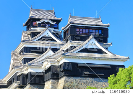 【熊本県】快晴の熊本城（大天守と小天守） 116416080