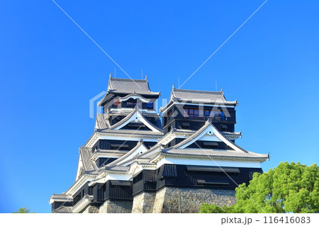 【熊本県】快晴の熊本城（大天守と小天守） 116416083