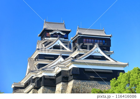 【熊本県】快晴の熊本城（大天守と小天守） 116416086