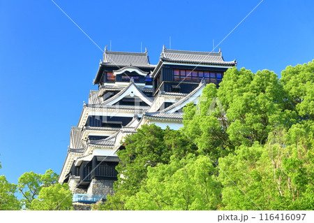 【熊本県】快晴の熊本城（大天守と小天守） 116416097