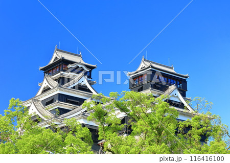【熊本県】快晴の熊本城(大天守と小天守) 【熊本県】快晴の熊本城(大天守と小天守) 116416100
