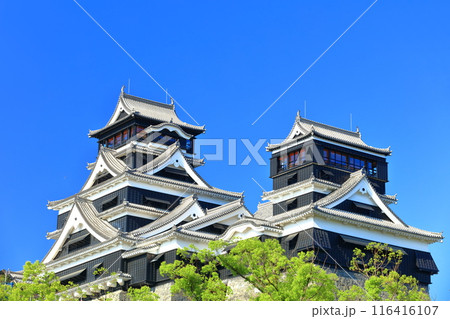 【熊本県】快晴の熊本城（大天守と小天守） 116416107