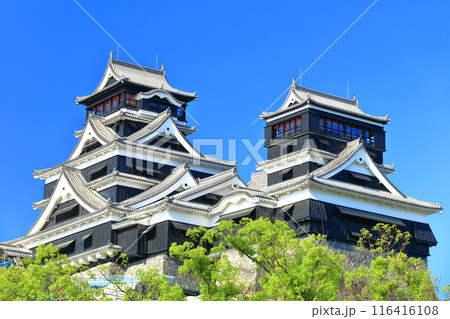 【熊本県】快晴の熊本城（大天守と小天守） 116416108