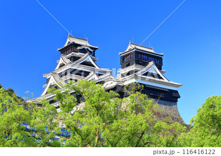 【熊本県】快晴の熊本城(大天守と小天守) 【熊本県】快晴の熊本城(大天守と小天守) 116416122