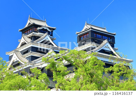【熊本県】快晴の熊本城(大天守と小天守) 【熊本県】快晴の熊本城(大天守と小天守) 116416137