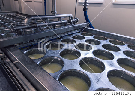 Fresh cheese curds being pressed 116416176