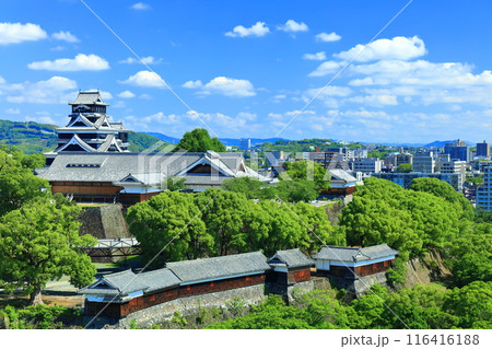 【熊本県】晴天の熊本城（天守閣と本丸御殿と重要文化財櫓群） 116416188