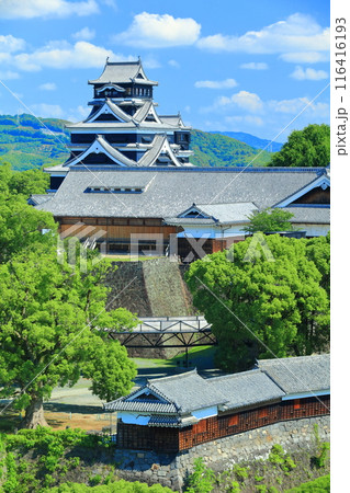 【熊本県】晴天の熊本城（天守閣と本丸御殿と重要文化財櫓群） 116416193