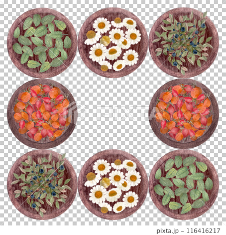 Different herbs, plants on plates frame. Lemon balm, chamomile, rose hips, blueberry watercolor art isolated on white. Hand painted great for packages, tea, infusions, recipes design, cards, logotype 116416217