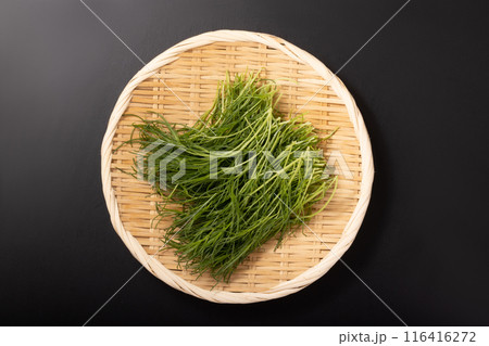 おかひじき 116416272