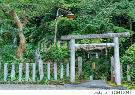 滋賀県米原市　旧中山道の醒井宿で湧き出る清水の袂に鎮座する加茂神社 116416347