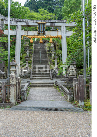 滋賀県米原市　旧中山道の醒井宿で湧き出る清水の袂に鎮座する加茂神社 116416465