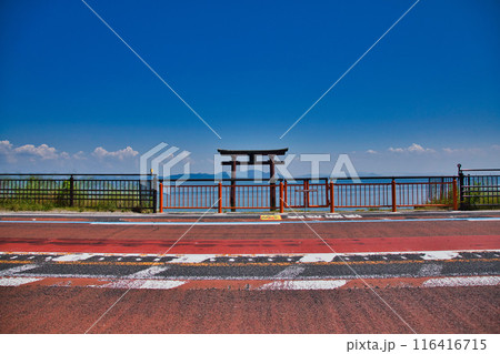 夏まじかの白髭神社 夏まじかの白髭神社 116416715