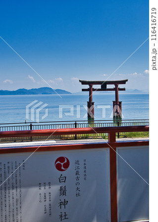 夏まじかの白髭神社 夏まじかの白髭神社 116416719