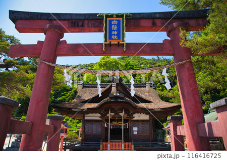 夏まじかの白髭神社 夏まじかの白髭神社 116416725