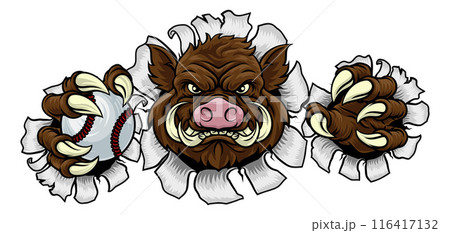 Boar Wild Hog Razorback Warthog Baseball Mascot 116417132