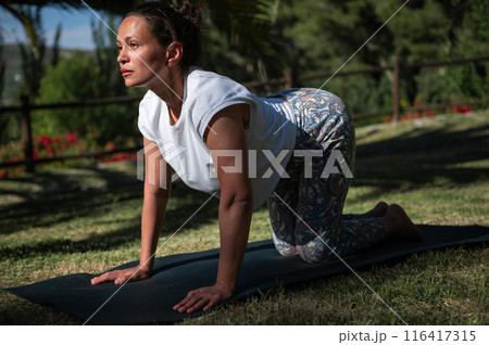 Woman practicing yoga outdoors in park, morning exercise on yoga mat. Physical fitness and mental relaxation in nature 116417315