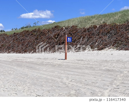 Sweeping view of the soft white sandy beach, dunes in Neringa, Nida Sweeping view of the soft white sandy beach, dunes in Neringa, Nida 116417340