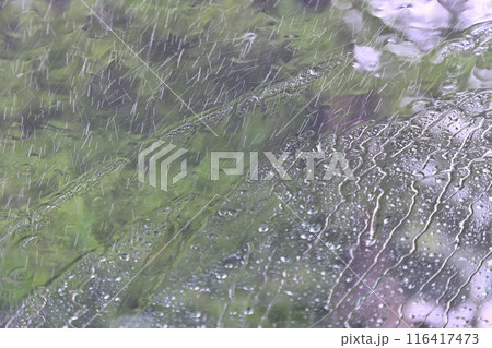 車のフロントガラスで流れる雨粒 梅雨 車のフロントガラスで流れる雨粒 梅雨 116417473