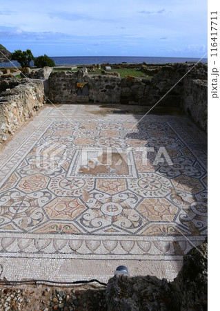 サルディーニャ、ノーラ遺跡のモザイク 116417711