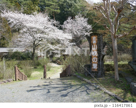 山吹の里 (埼玉県越生町) 山吹の里 (埼玉県越生町) 116417861