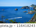 南伊豆・あいあい岬からの海岸景観 116418243